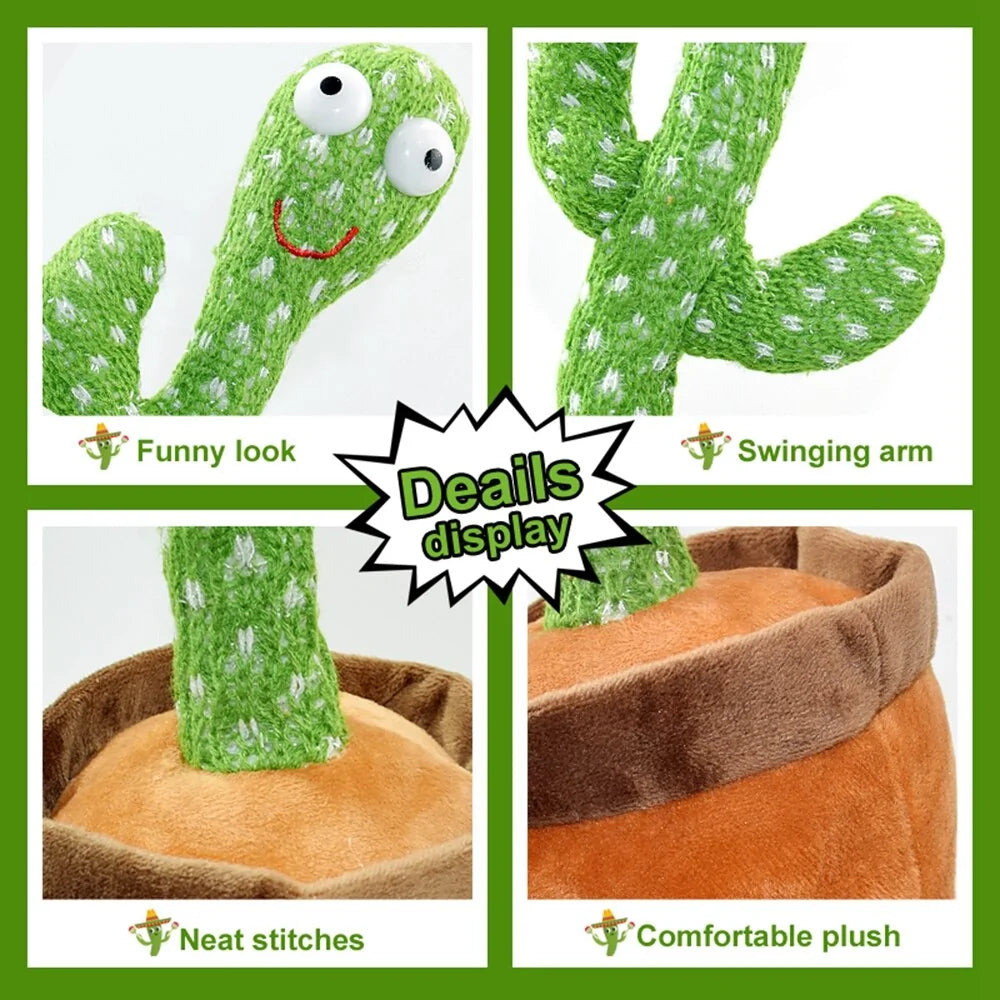 Dancing Cactus